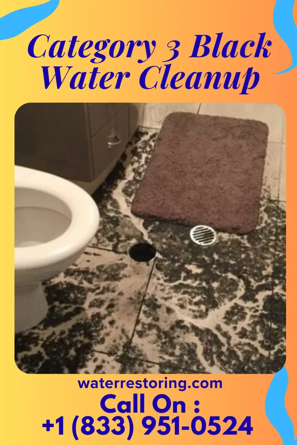 Category 3 Black Water Cleanup in Acequia, ID