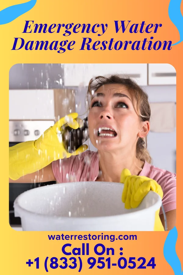 Emergency Water Damage Restoration in Acequia, ID